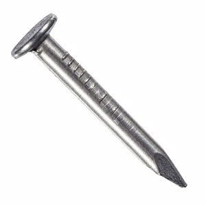 Clavo Terrano 1 pulgada 1 kg