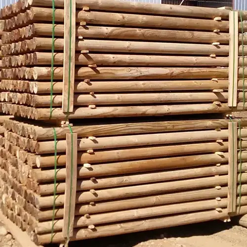 polin impregnado 2 polin impregnado